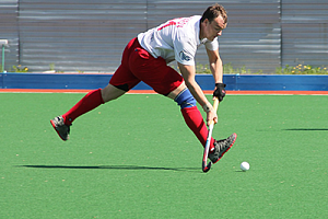 Покрытия хоккейных полей