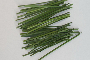 Структура искусственной травы. Часть 1